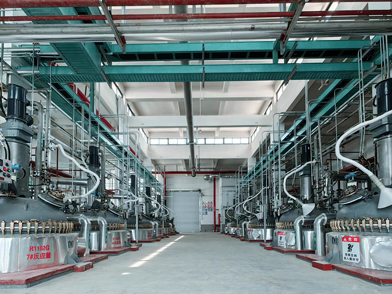 Macroporous resin workshop