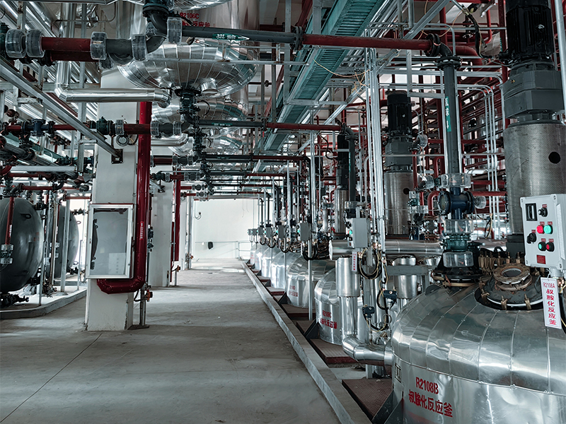 Large pore anion resin workshop